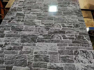 ISO 9001 建築/装飾用プリペイント鋼コイル製造者